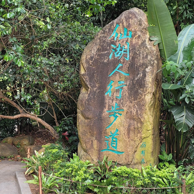 仙湖植物園（Xianhu Botanical Garden）：自然與生態的美麗結合