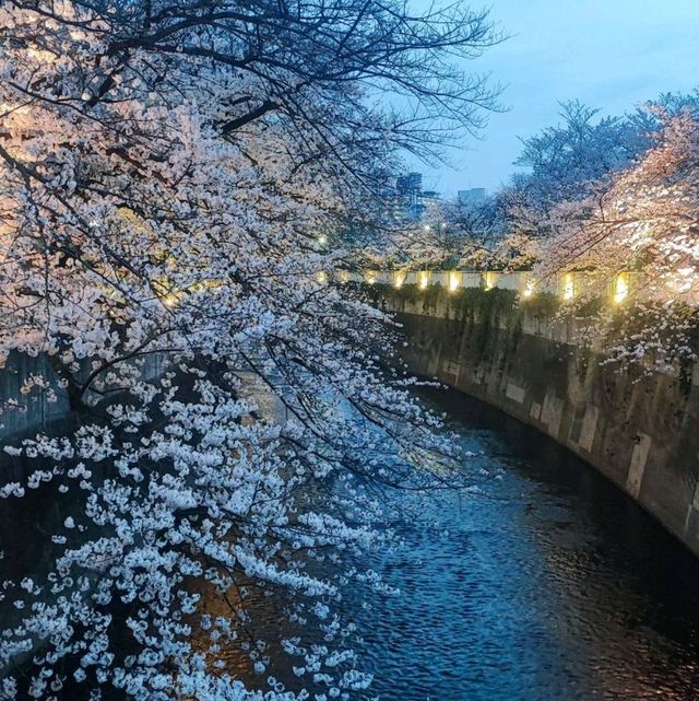 An alternative to overcrowded Meguro river