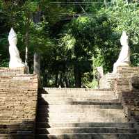 A Peaceful Escape at Wat Umong