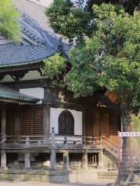 在東京的小眾景點｜ 昭和味道濃郁的葛飾區