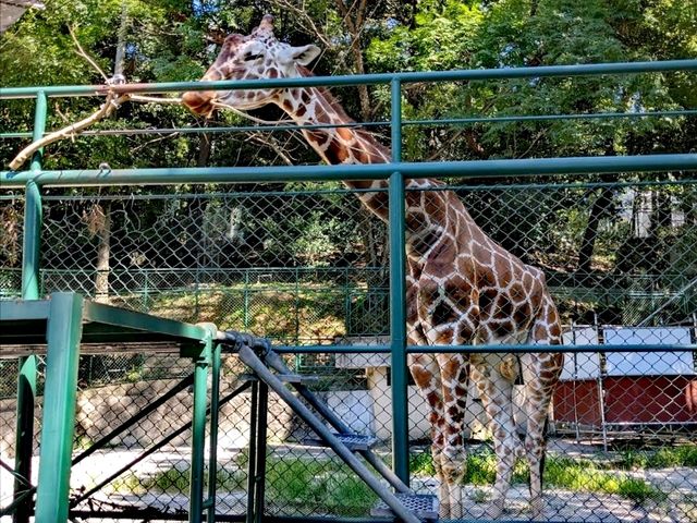 福岡動物園