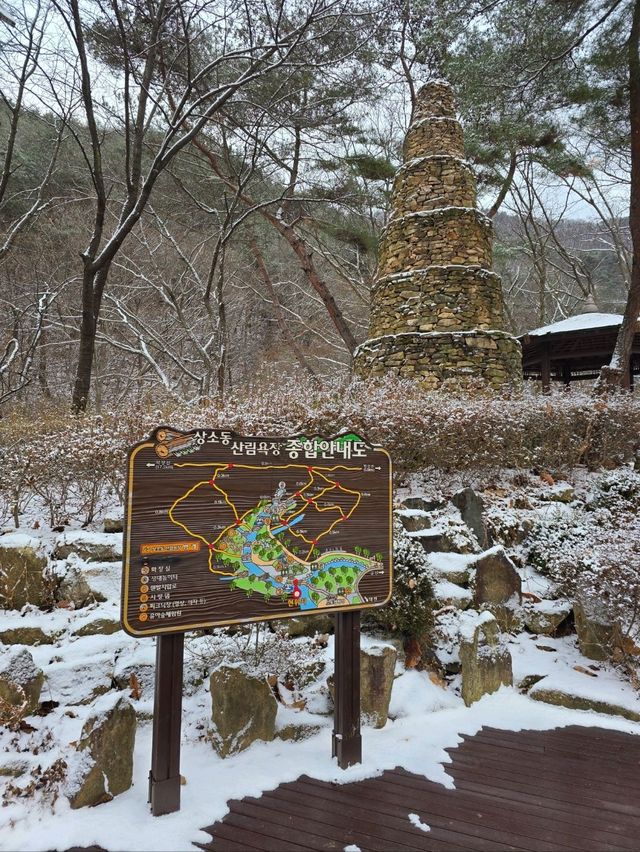 실시간 눈이와서 더 예뻤던 대전 상소동산림욕장💙