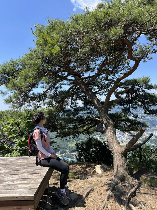 탁 트인뷰가 너무 멋진 양주 불곡산 ⛰️