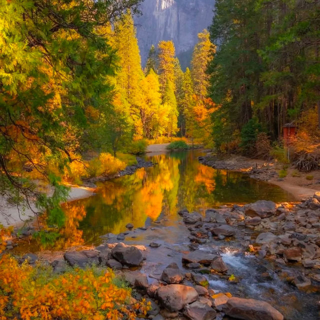 Yosemite National Park