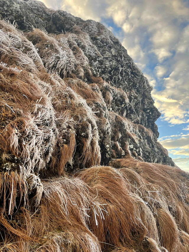 夜爬轿子雪山|||不枉凌晨四點起來爬，雲海日出、七彩祥雲…