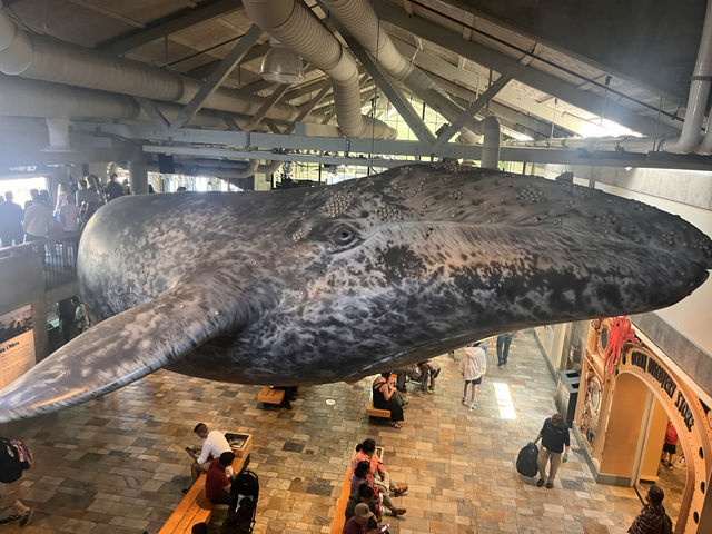 怎麼會有那麼夢幻的水族館！