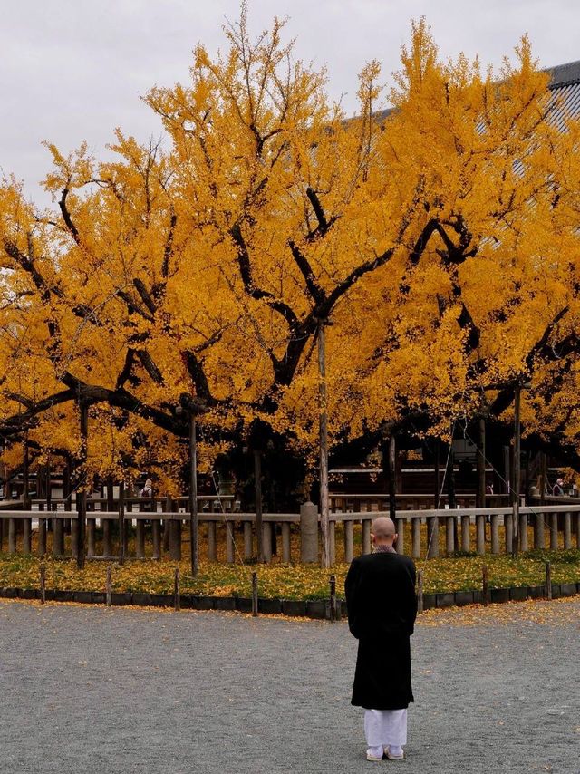 西本願寺