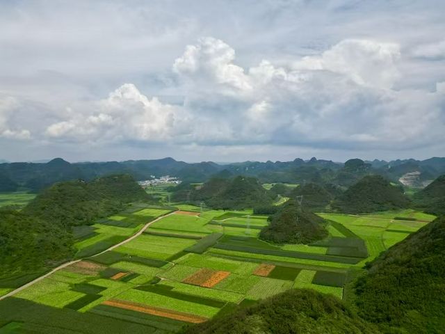 羅平金雞峰叢