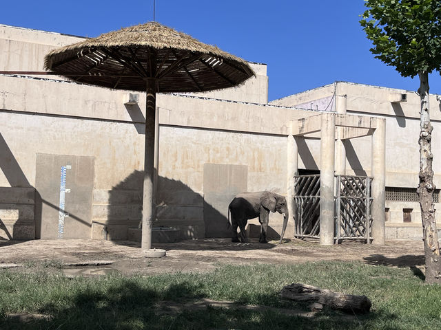 中國開放最早的動物園——北京動物園