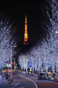 Experience the Magic of Tokyo's Christmas Lights Next Month