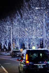 Experience the Magic of Tokyo's Christmas Lights Next Month