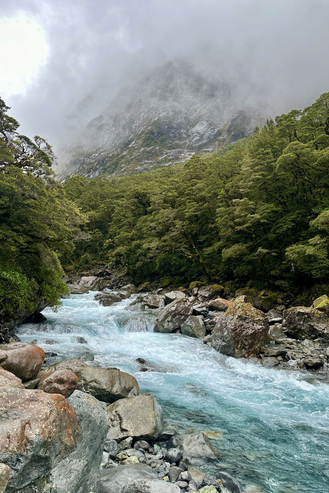 蒂阿瑙—米爾福德峽灣沿途的治癒系風景