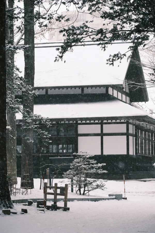 北海道神宮⛩️迎來一場純淨美麗的雪