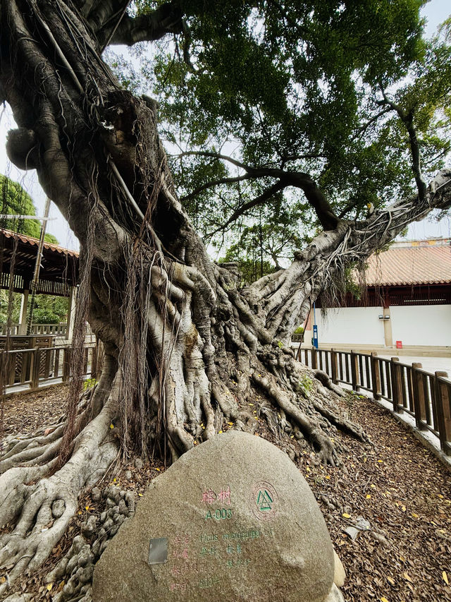 此地古稱佛國  滿街都是聖人