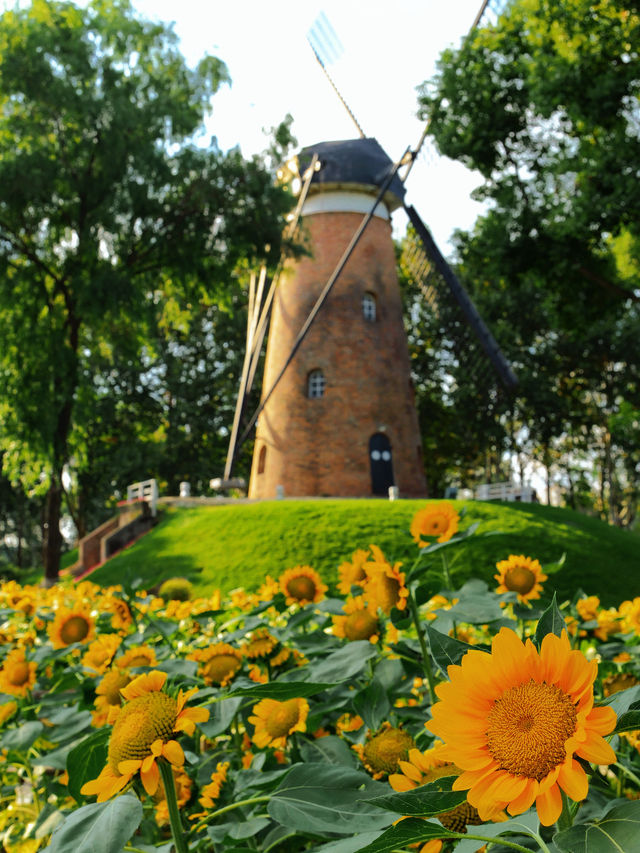 南京最被低估的寶藏公園，可以在這玩一整天