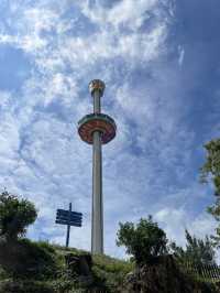 Explore the Magic of Hong Kong Ocean Park with This Comprehensive Guide!