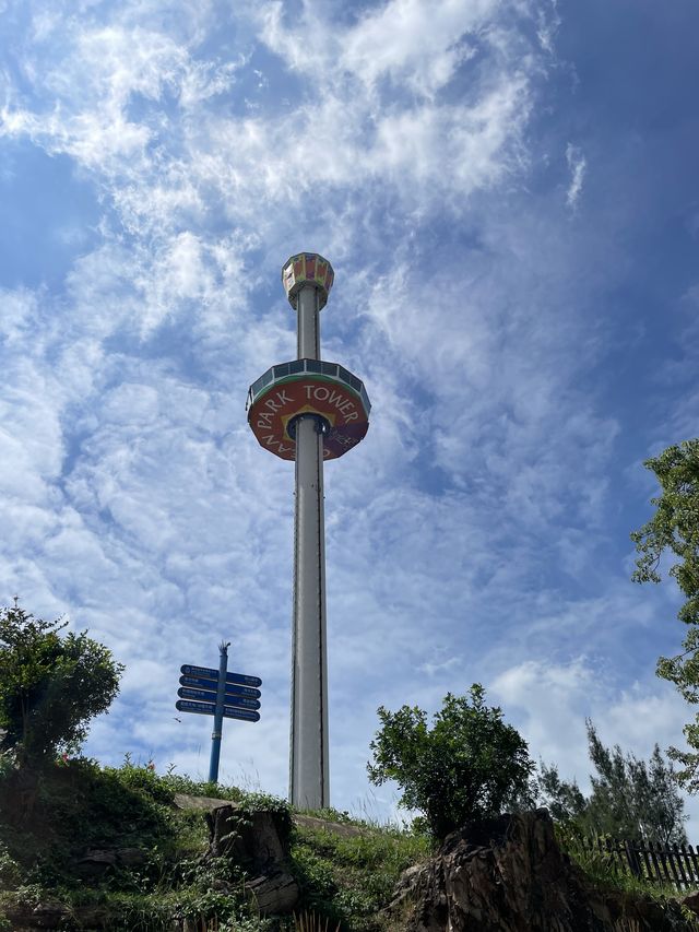 Explore the Magic of Hong Kong Ocean Park with This Comprehensive Guide!