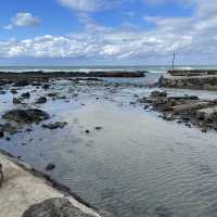 Exploring the Beauty of Aewol Coastal Road