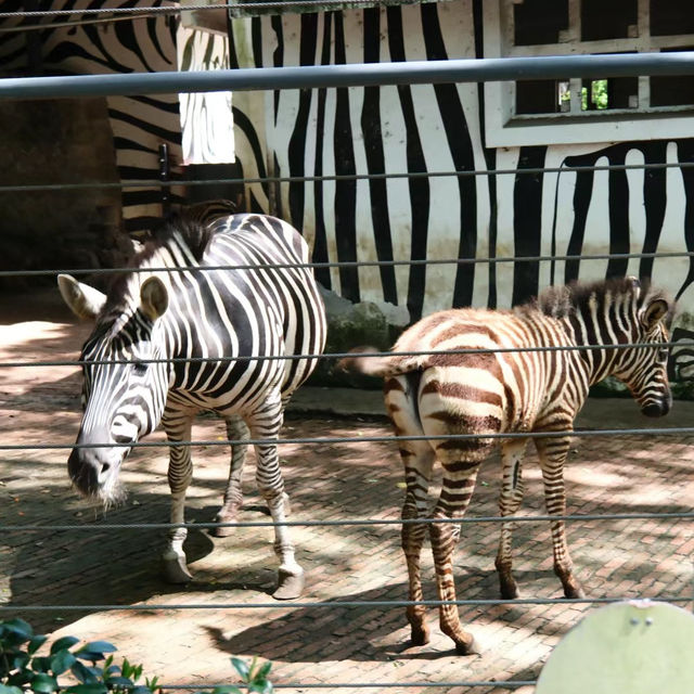 上海動物園：生機盎然，回歸自然的夢想