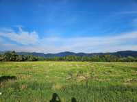 An ATV adventure at the fields of Balik Pulau