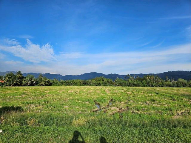 An ATV adventure at the fields of Balik Pulau