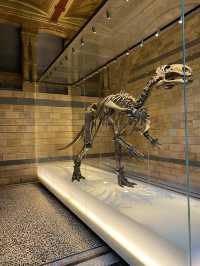 Step Back in Time:Natural History Museum