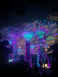 Gardens by the Bay at Night – A Beautiful Cityscape Experience