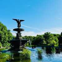 Summer at Central Park, New York 💚