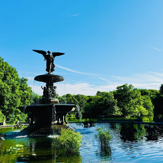 Summer at Central Park, New York 💚