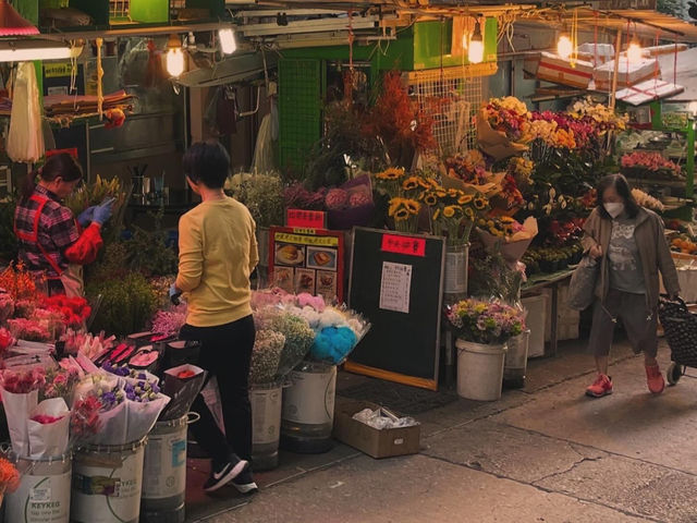 立志成為香港觀光大使