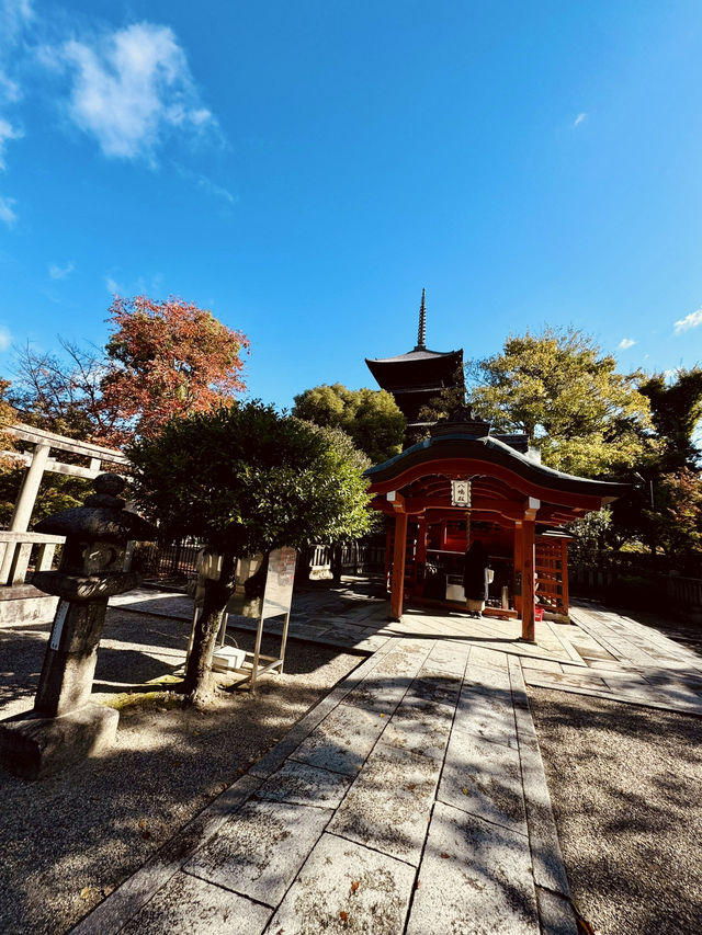 Toji Temple: A Must-Visit Spiritual Landmark in Japan