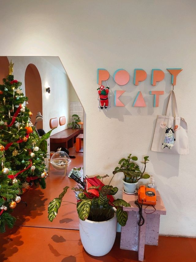 Purr-fect Holiday Gatherings at Poppy Kat Cafe