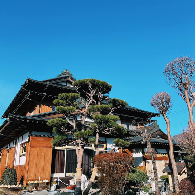 Serene Oasis at Oshino Hakkai!