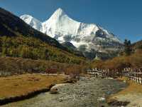 Best Autumn Viewing Experience 1/3 [Luorong Pasture, Yading Nature Reserve]