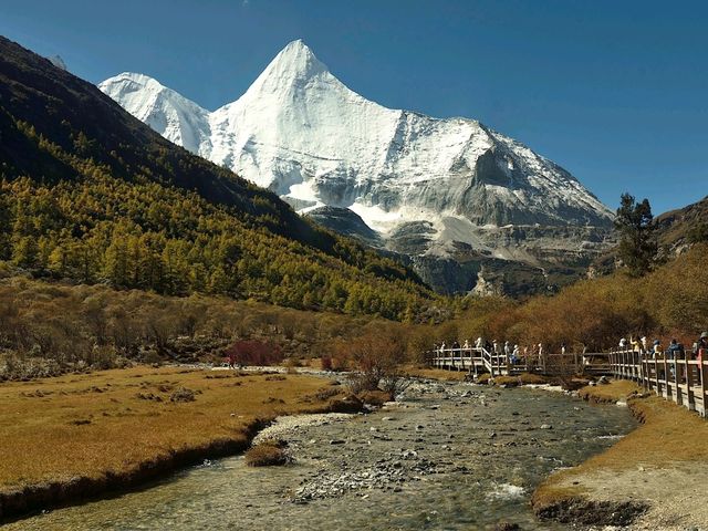 Best Autumn Viewing Experience 1/3 [Luorong Pasture, Yading Nature Reserve]