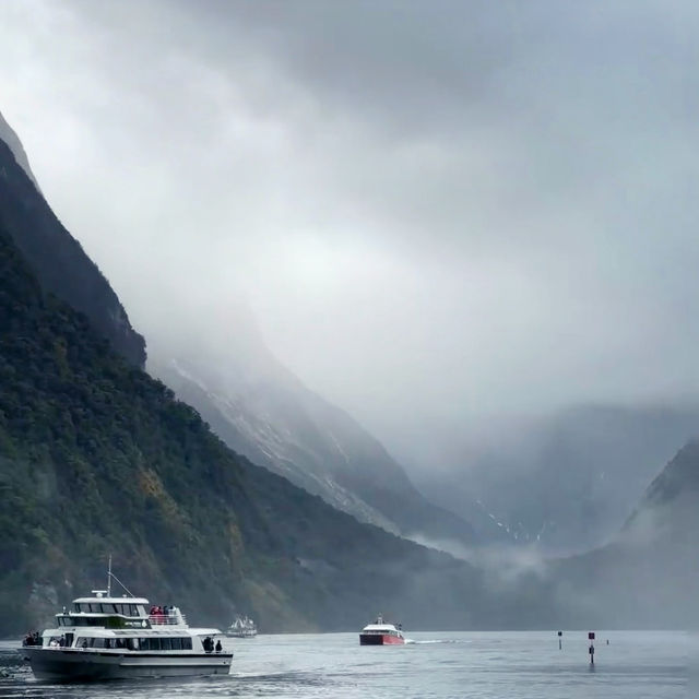 Milford Sound Unveiled: A Journey Through New Zealand’s Natural Wonderland!