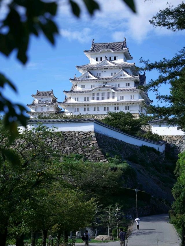 Beautiful Himeji Castle in Japan 🇯🇵🏰♥️