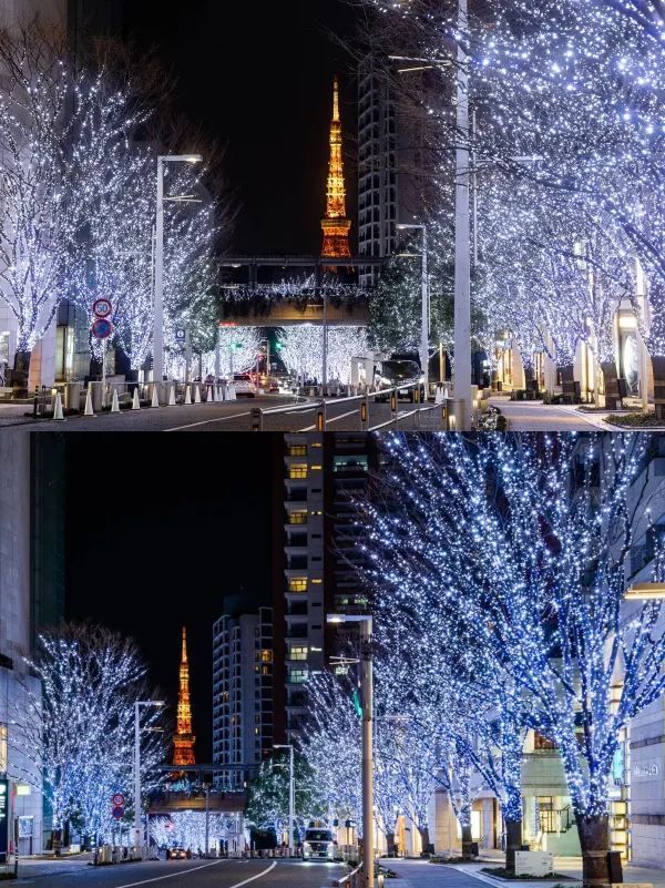 Best Photo Spots for Christmas Lights in Roppongi, Tokyo