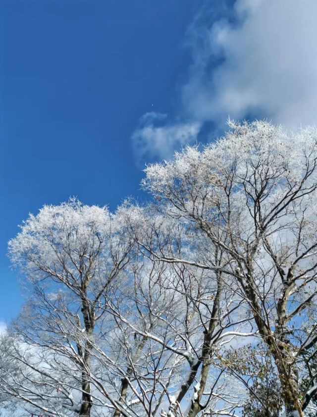 冬日的一場大雪，將終南山南五台裝扮得如同仙境。