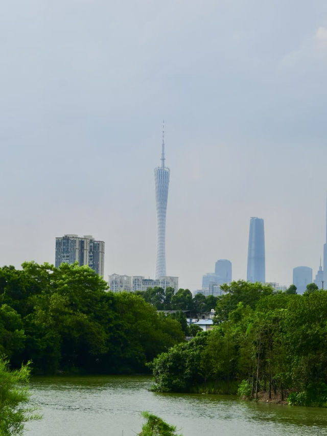 濕地綠影，城市中的自然詩篇