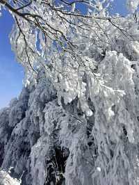 征服風雨山感受冰雪的詩意徒步