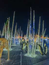 Explore the Illumi Light Show in Mississauga