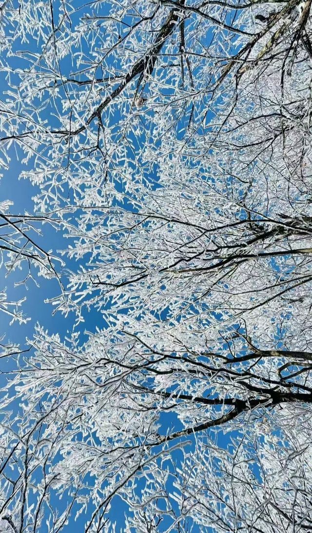 周末徒步｜龍王山賞霧凇，體驗冰雪奇緣