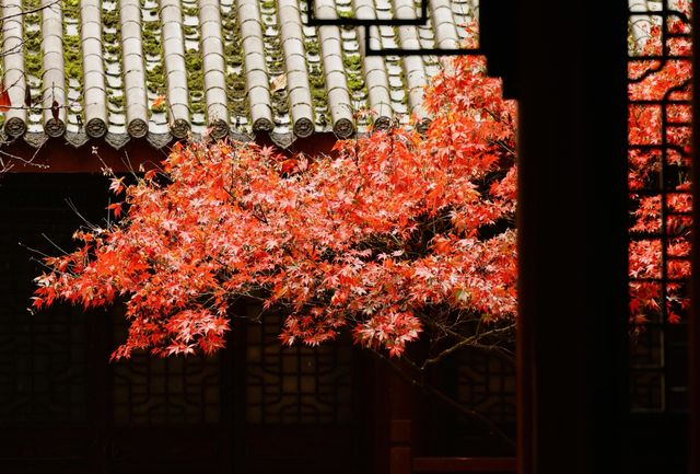 重慶中華美德公園的