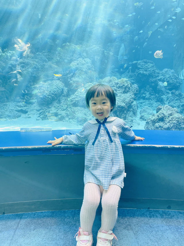 沖繩｜美麗海水族館