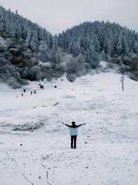 重慶｜都給我去仙女山誰拍誰出片