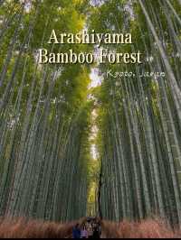 Arashiyama Bamboo Forest in Kyoto, Japan🎋🇯🇵