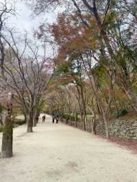 內藏山：韓國八大美景行山賞楓很減壓