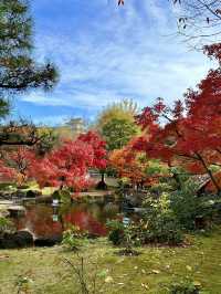 世界遺産姫路城を望む日本庭園✨紅葉を眺めながら食事！