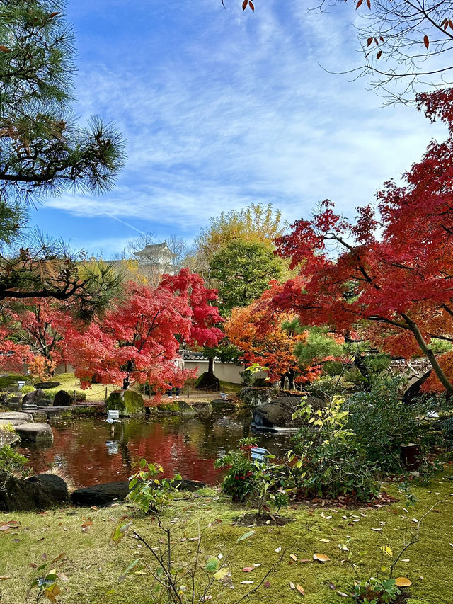 世界遺産姫路城を望む日本庭園✨紅葉を眺めながら食事！